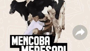 Mencoba meras sapi. Foto: Twitter/oreocimoryyy