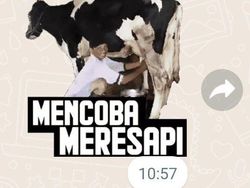 10 Meme yang Benar Tapi Salah, Bikin Mikir Dulu