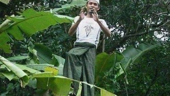 Literally naik daun. Foto: Twitter/kindashiny