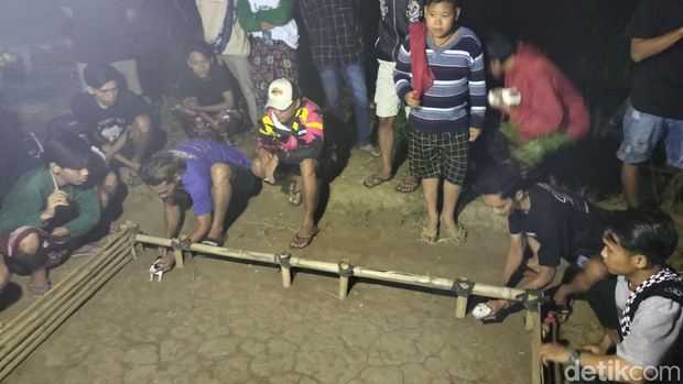 balap marmut probolinggo