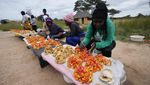 Berburu Bahaya Jamur Liar di Zimbabwe