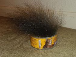 Deretan Foto Hewan dan Tumbuhan Bikin Merinding Saat Dilihat