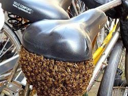 Deretan Foto Hewan dan Tumbuhan Bikin Merinding Saat Dilihat