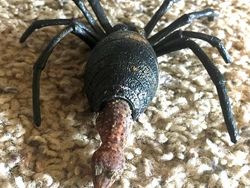 Deretan Foto Hewan dan Tumbuhan Bikin Merinding Saat Dilihat