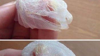 Kadal berganti kulit Foto: Boredpanda