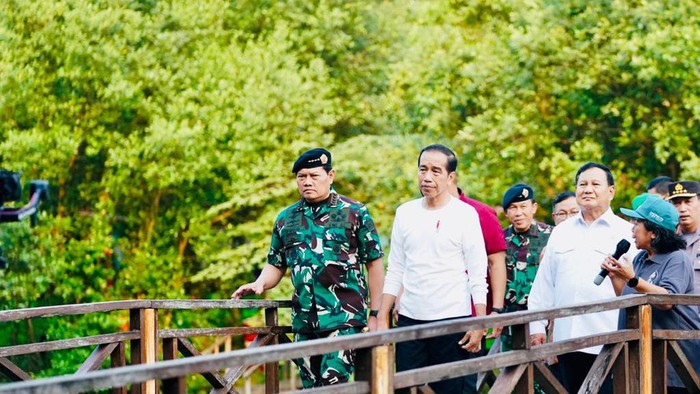 Jokowi dan Prabowo Tanam Mangrove di Jakut Jokowi dan Prabowo Tanam Mangrove di Jakut