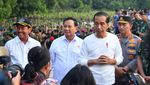Potret Kompak Jokowi dan Prabowo Berbaju Putih Nyemplung Tanam Mangrove