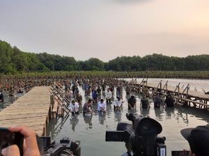 Momen Jokowi-Prabowo Nyemplung Tanam Mangrove di Jakut