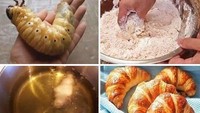 Menemukan serangga berukuran besar, ada netizen yang tiba-tiba teringat dengan sebuah pastry khas Perancis. Dirinya menggoreng serangga dengan tepung dan dinilai mirip croissant. Foto: Bored Panda