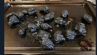 Berawal dari ingin menyajikan chicken wings di rumah, tetapi pria ini lupa kalau dirinya sedang memasak. Setelah 40 menit memanggang sayap ayam ia membuka oven dan mendapatkan ayamnya berubah menjadi arang. Foto: Bored Panda