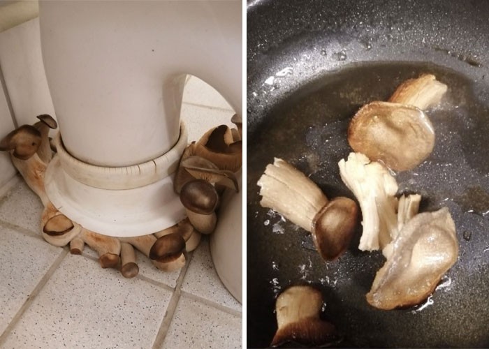 Makanan menjijikan