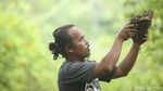 Mengenal Jesral Tambunan Sang Penggorga di Rumah-Rumah Batak