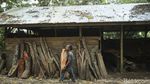 Mengenal Jesral Tambunan Sang Penggorga di Rumah-Rumah Batak