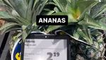 10 Makanan di Belanda Ini Namanya Sama dengan Makanan di Indonesia