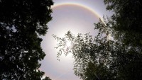 Diketahui, halo matahari merupakan fenomena optis berupa lingkaran cahaya yang mengelilingi matahari. Peristiwa ini terjadi karena adanya refleksi dan pembiasan sinar matahari oleh awan cirrus yang sangat dingin di atmosfer. Han Yuhong/VCG via Getty Images.
