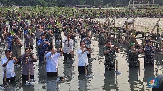 Presiden Joko Wisodo melakukan penanaman Mangrove secara nasional tahun 2023, di Taman Wisata Alam (TWA) Angke Kapuk, Jakarta Utara, Senin (15/5/2023). Presiden berpesan kepada semua untuk terus menjaga mangrove hasil yang ditanam. (CNBC Indonesia/Emir Yanwardhana)