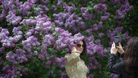 Taman bunga ini menjadi salah satu area yang masih utuh dari serangan pasukan Rusia di kota Kyiv.