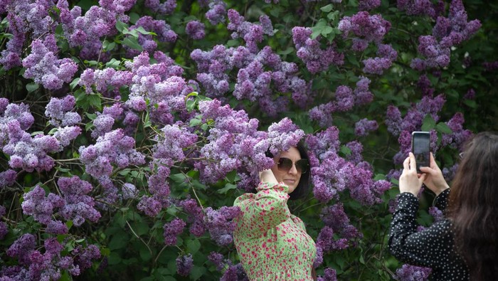 KYIV, UKRAINE - MAY 14: People visit blooming lilacs park as they try to continue their daily life amid Russia-Ukraine war in Kyiv, Ukraine on May 14, 2023. (Photo by Oleksii Chumachenko/Anadolu Agency via Getty Images)