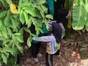 Viral Video Diduga Siswi SMA di Palembang Ditampar saat Diksar