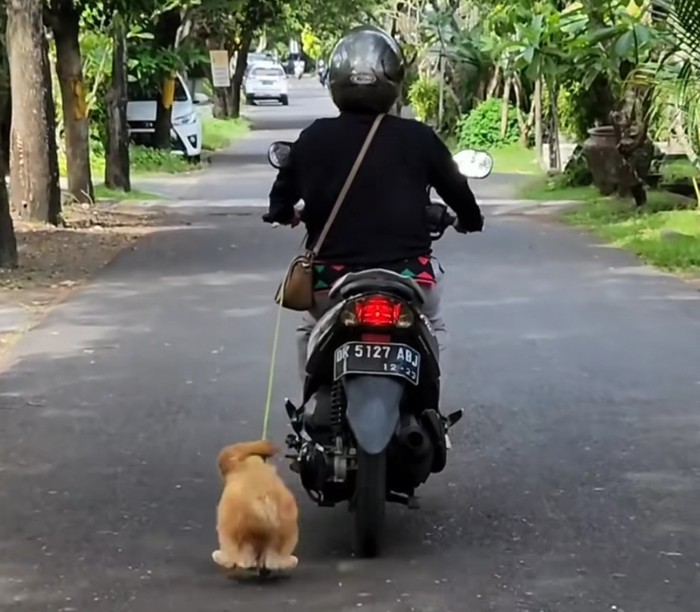 Tangkapan layar video viral pemotor wanita menyeret anjing.