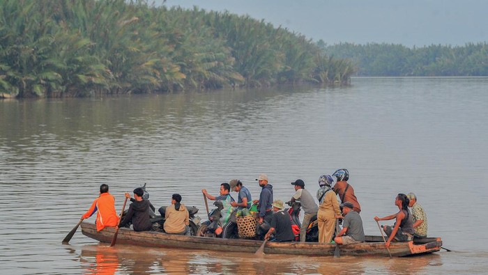 Tidak Cuma Warga, Motor Pun Bisa Ikut Nyebrang Pakai Perahu Tradisional di Jambi Warga menyeberangi Sungai Betara menggunakan perahu tradisional dari Kuala Indah menuju Sungai Gebar di Tanjung Jabung Barat, Jambi, Senin (15/5/2023). Jasa penyeberangan orang dan sepeda motor menggunakan perahu yang menjadi penghubung sejumlah desa di Kabupaten Tanjung Jabung Barat dengan Tanjung Jabung Timur di bagian tenggara itu bertarif Rp5 ribu sampai Rp15 ribu dalam sekali perjalanan. ANTARA FOTO/Wahdi Septiawan/tom.