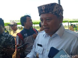 Tugas Baru untuk Wagub Jabar Uu Ruzhanul Ulum dari PPP