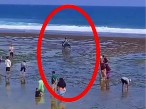 Motor Trail Masuk ke Pantai Gunungkidul, Biota Laut Terancam?