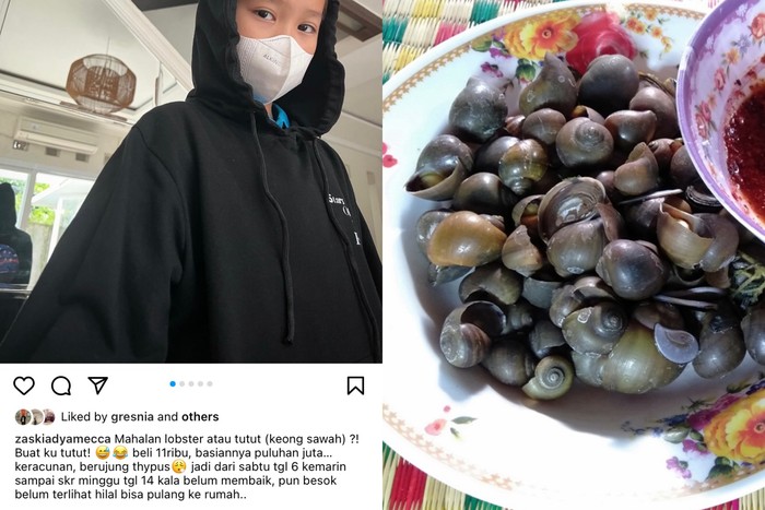 Anak dari Zaskia Adya Mecca keracunan tutut. Agar aman mengonsumsinya, berikut tips mengolahnya.