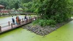 Ini Dia Pusat Penangkaran Buaya Terbesar di China