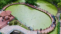 Ini penampakan salah satu sudut pusat penangkaran buaya di kota Xuancheng, provinsi Anhui, China.