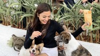 Andi Annisa menghabiskan hari Minggu dengan santai bersama anjing di kafe. Tampak ia juga memesan makanan enak sebagai pendampingnya.