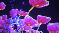 Pengunjung berfoto di pameran seni digital Imagispace.