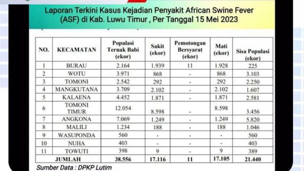 Data kasus flu babi afrika masuk di Luwu Timur, Sulawesi Selatan.