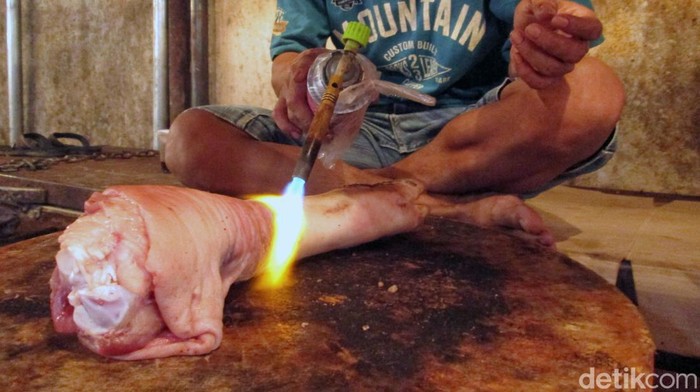 Penyakit African Swine Fever (ASF) atau demam babi afrika terdeteksi di pulau Bulan, Batam. Dokter hewan pun memberikan tips aman membeli dan mengonsumsi daging babi.