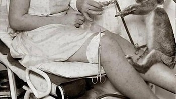 Heinz menyuntikkan cairan yang diambil dari kelinci hidup ke seseorang peremajaan. Berlin, 1925. Foto: Rarehistoricalphotos