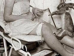 Foto Jadul yang Aneh, Ceritanya Pun Mengejutkan