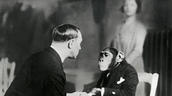 Telepatis mencoba menghipnotis simpanse, 1941. Foto: Rarehistoricalphotos