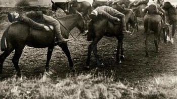 Prajurit Artileri Kuda Kerajaan Inggris di atas kuda. Hewan-hewan itu ternyata sangat patuh sehingga membiarkan para prajurit melakukan trik seperti ini, 1915. Foto: Rarehistoricalphotos