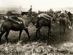 Foto Jadul yang Aneh, Ceritanya Pun Mengejutkan