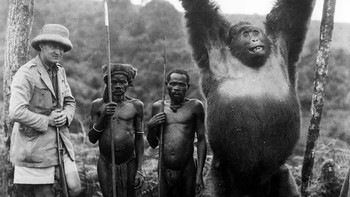 Pelancong Italia Attilio Gatti dengan dua pigmi sewaan dan seekor gorila yang ditangkap oleh mereka di Kongo Belgia, 1930. Foto: Rarehistoricalphotos