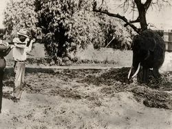 Foto Jadul yang Aneh, Ceritanya Pun Mengejutkan