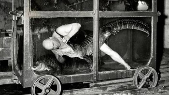 Seorang pemain sirkus di mobil akuarium bersama buaya, Berlin, 1933. Foto: Rarehistoricalphotos