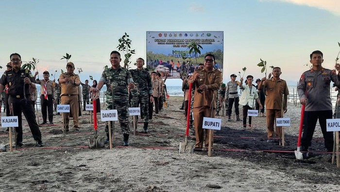 Kodim 1307/Poso tanam 1.250 bibit mangrove di Pantai Tangko.