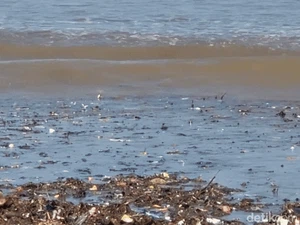 Menanti Langkah Pemerintah Atasi Sampah yang Kotori Pesisir Loji