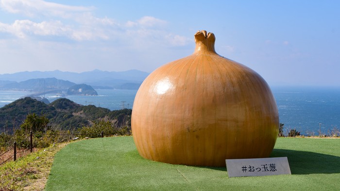 Manis Enak! Ini Bawang Bombay Khas Pulau Awaji Jepang