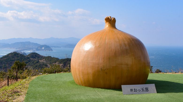 Manis Enak! Ini Bawang Bombay Khas Pulau Awaji Jepang