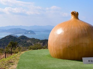 Spesial! Pulau di Jepang Ini Hasilkan Bawang Bombai Sangat Manis