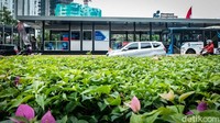 Total sebanyak 10 halte bakal ditutup sementara selama proses revitalisasi berlangsung.