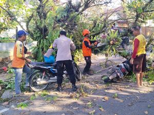 Lokasi Pohon Tumbang yang Bikin Celaka 4 Warga Sukabumi