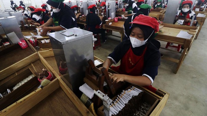 Sejumlah pekerja melinting tembakau saat pembukaan pabrik sigaret kretek tangan PT Karyadibya Mahardhika di Kediri, Jawa Timur, Selasa (16/5/2023). Pabrik rokok kretek yang baru dibuka tersebut menyerap sebanyak 1.467 tenaga kerja. ANTARA FOTO/Prasetia Fauzani/rwa.